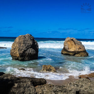Survivor Beach
