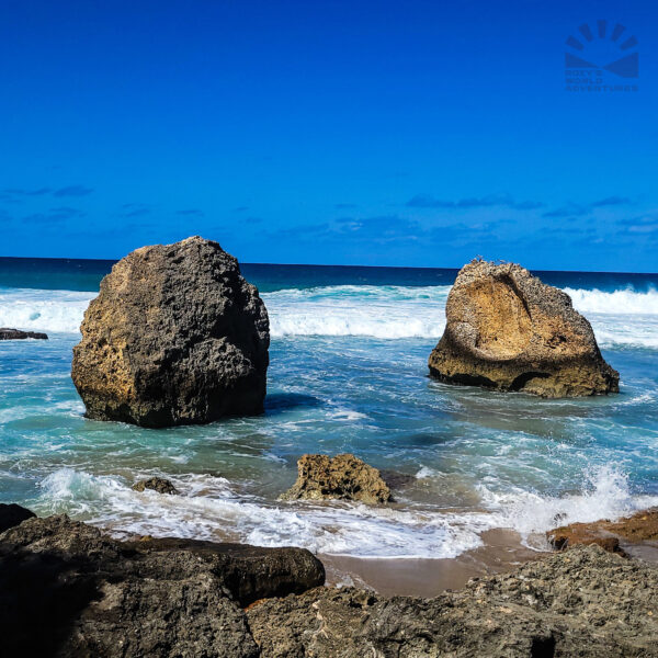 Survivor Beach