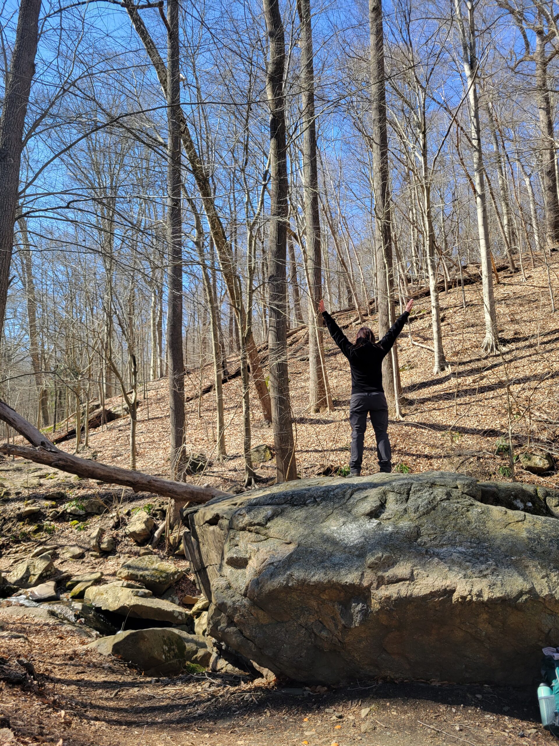 Read more about the article The Hidden History and Resilience of Patapsco Valley State Park: A Journey Through Time and Nature