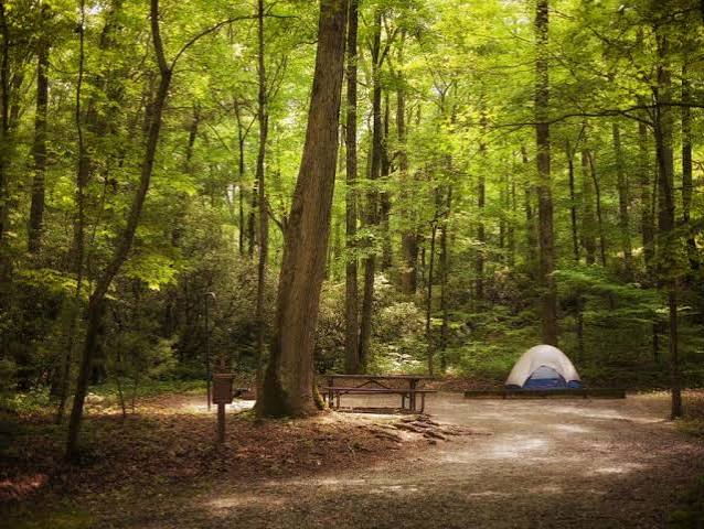 Camping in Patapsco Valley State Park