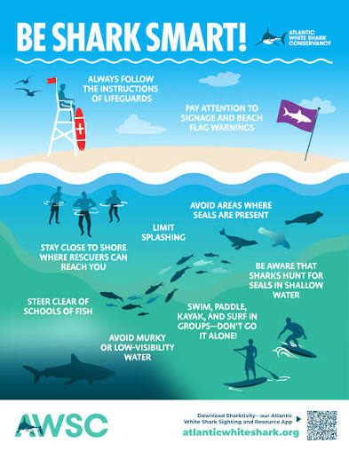 How to recreate on the beach safely