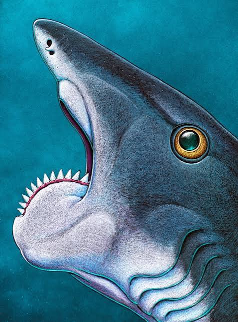 A shark with a lower jaw that looks like a buzzsaw