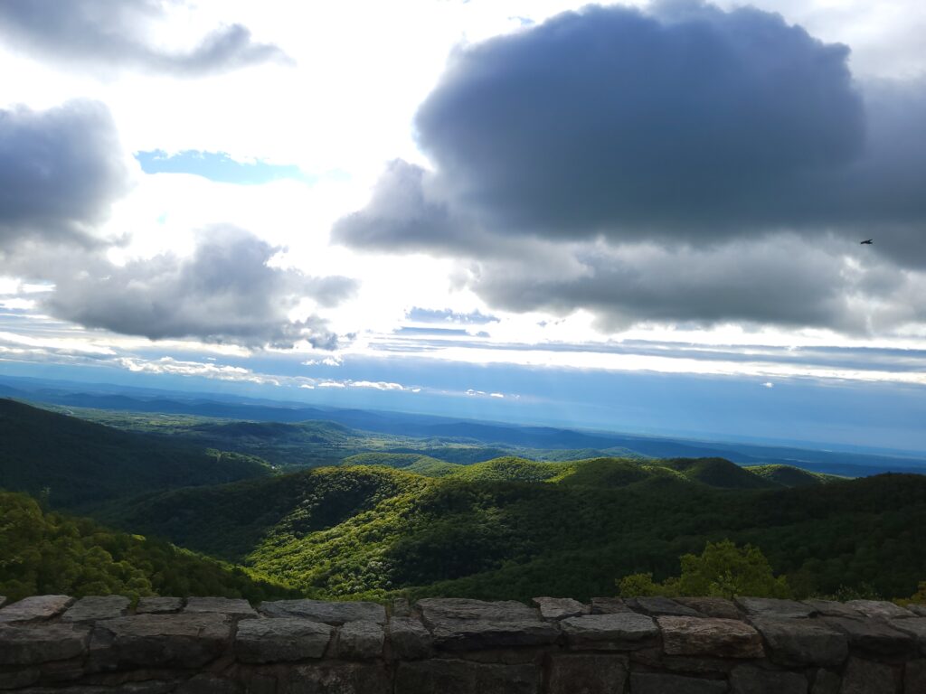Beauty in Shenandoah National Park