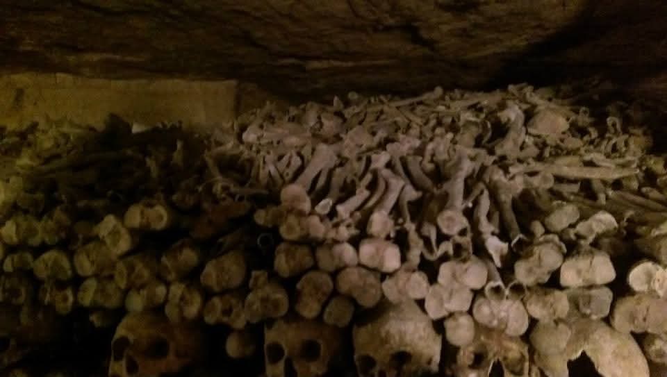 Bones in the catacombs of Paris