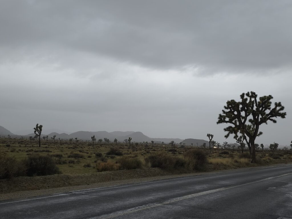 Joshua Tree National Park had a lot of photo opportunities with it's unique landscape.